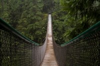 Capilano Suspension Bridge